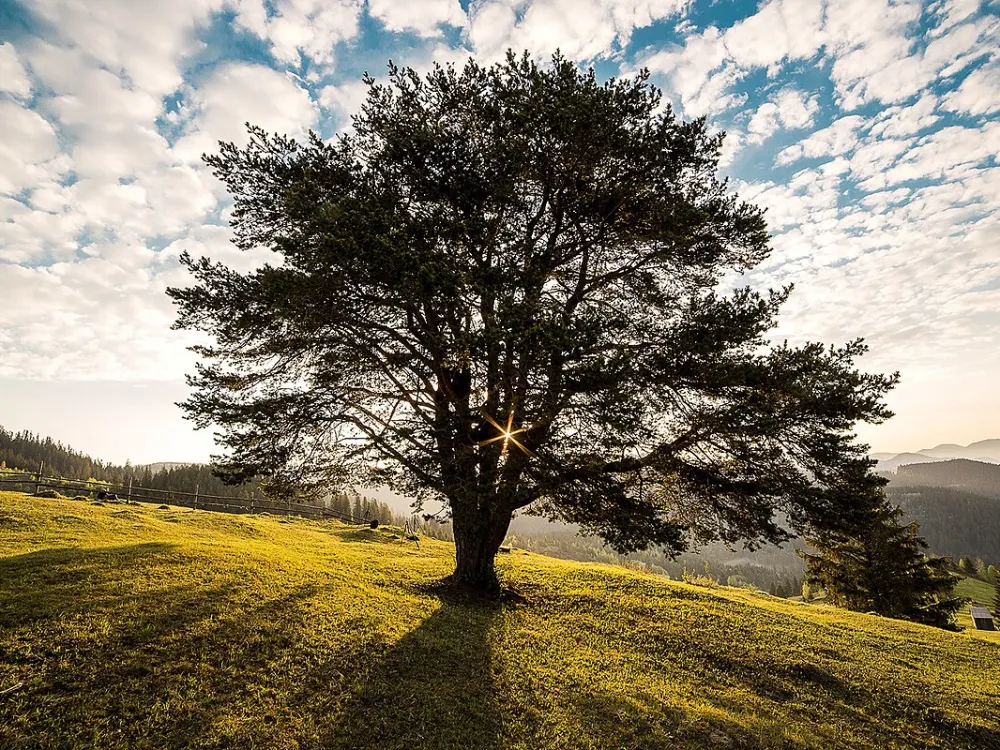 İmarlı köşe parsel, yola cepheli — fotoğraf 2